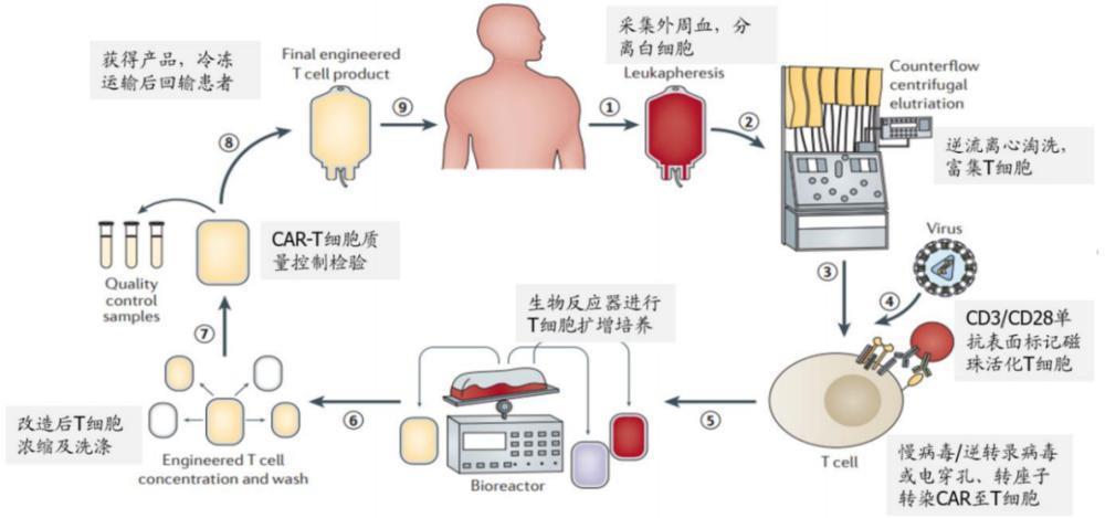 下一个PD-1药物，为什么不是CAR-T？