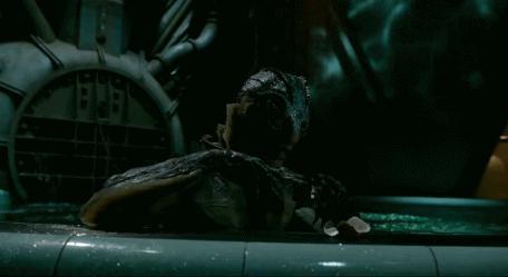 靠老婆养着，这男星成了全网天菜