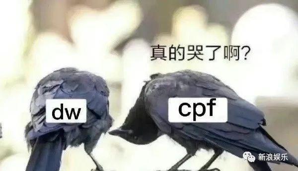 大热CP，国产剧的泼天富贵？