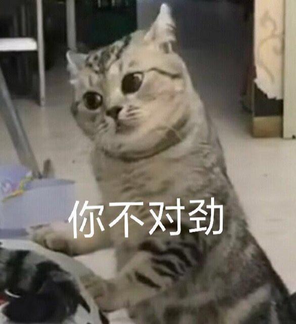 抖音这种女网红，全被抓进去了