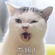 抖音这种女网红，全被抓进去了