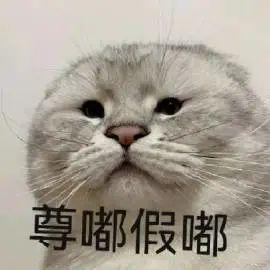 抖音这种女网红，全被抓进去了