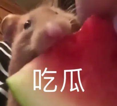 1399元，苹果这新机有点狠啊