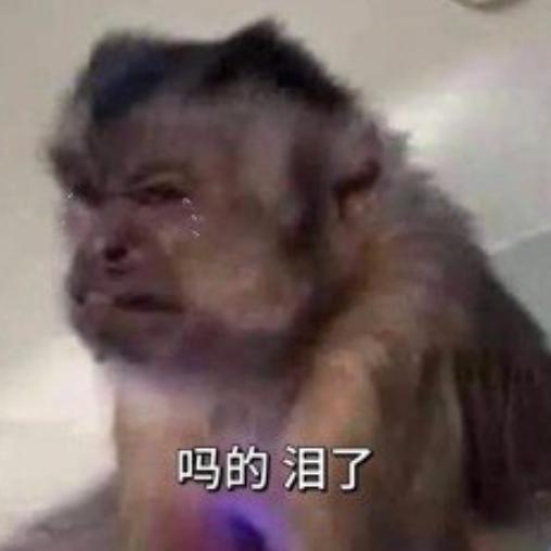 1699的1TB，我只能说年度最佳