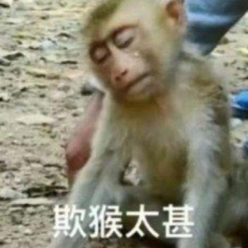 1699的1TB，我只能说年度最佳