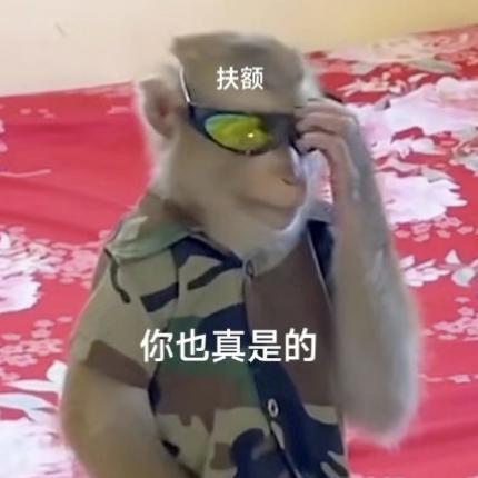 1699的1TB，我只能说年度最佳