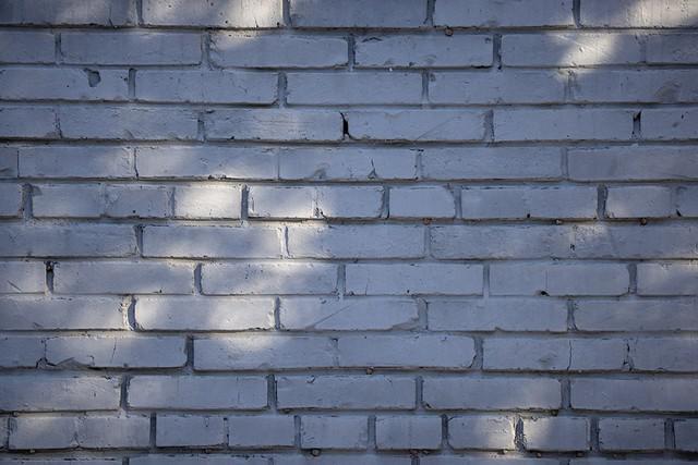 生态、航空摄影优选 佳能RF200-800mm镜头评测