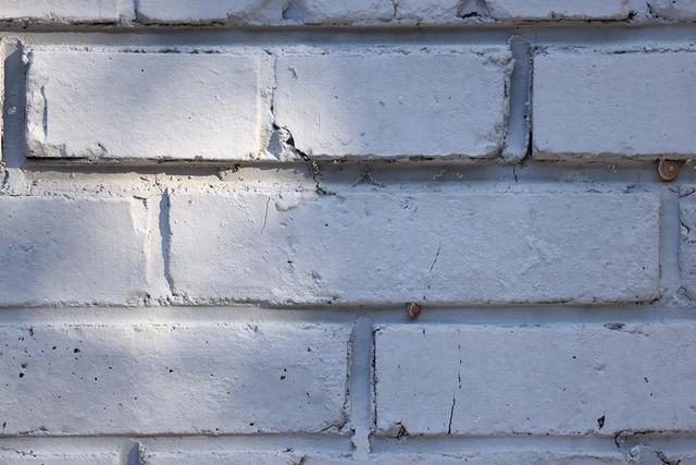 生态、航空摄影优选 佳能RF200-800mm镜头评测