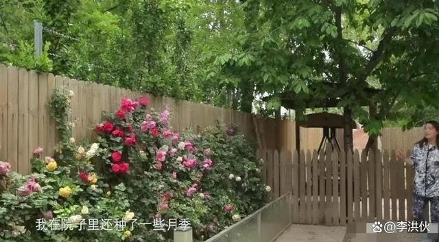 周海媚去世不足月，北京别墅低价急售，背后原因惹人泪目