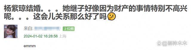 杨紫琼晒婴儿照被指回击继子争产，对方在她婚礼拒绝合影