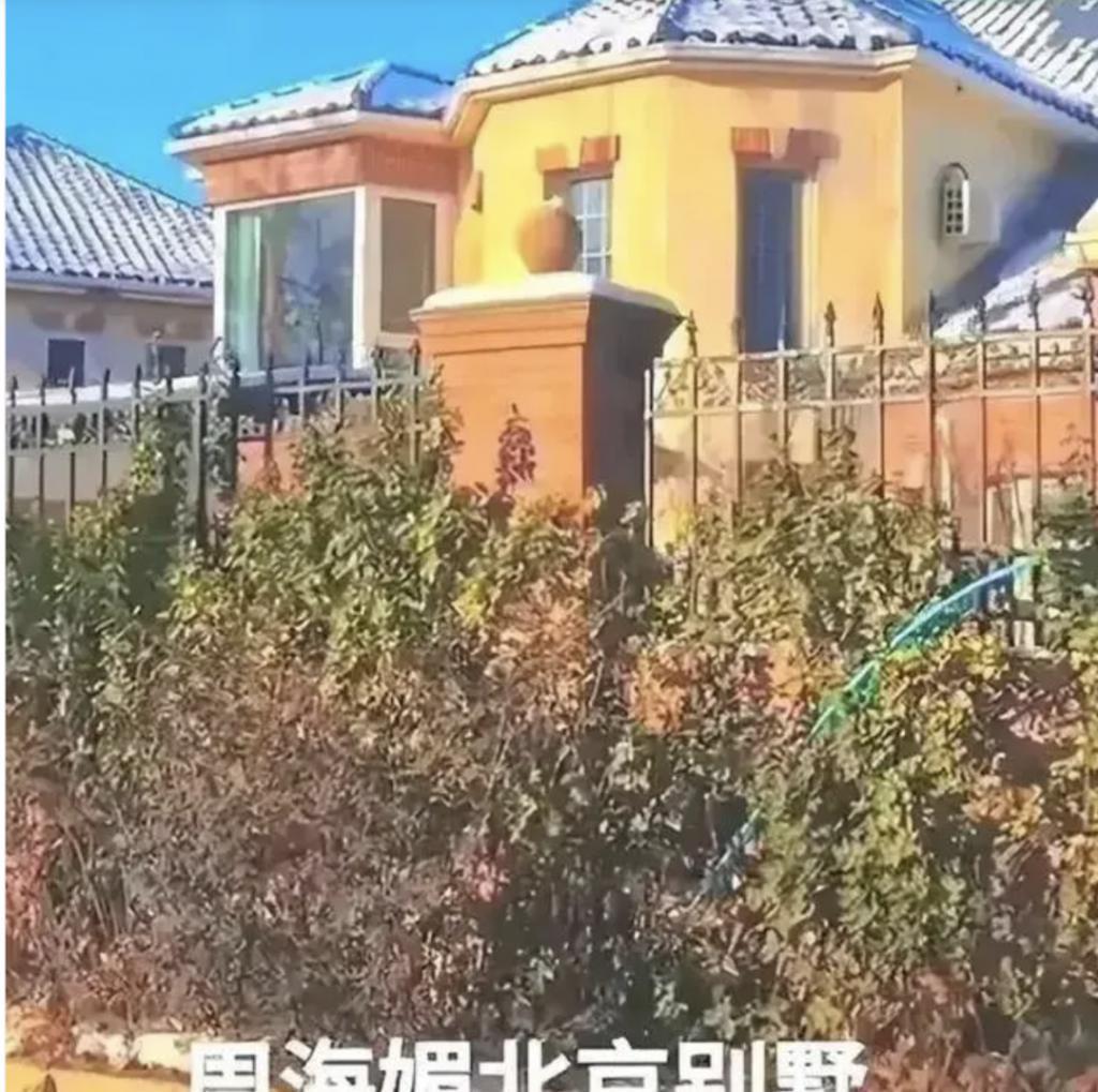 周海媚离世不足1月，家人出售豪宅，看到报价我心情复杂