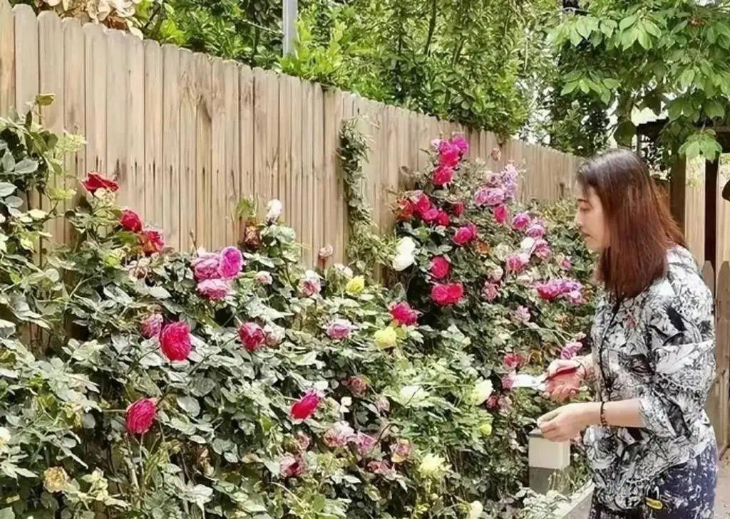 周海媚离世不足1月，家人出售豪宅，看到报价我心情复杂