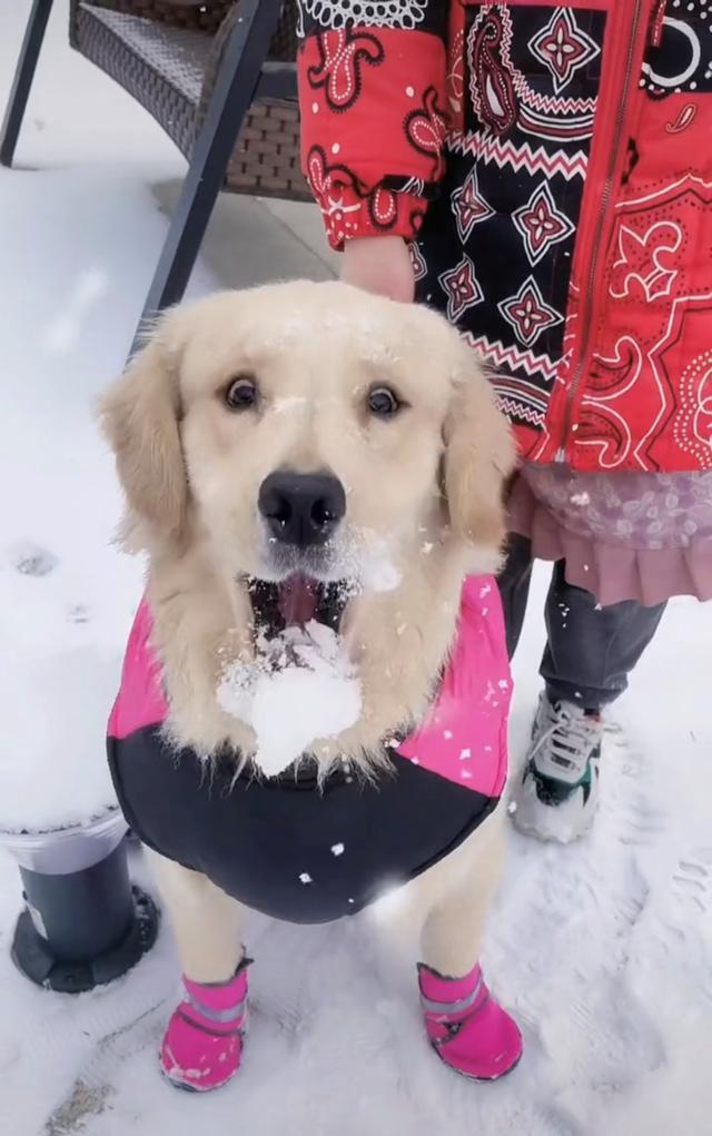 周海媚离世不足1月，家人出售豪宅，看到报价我心情复杂