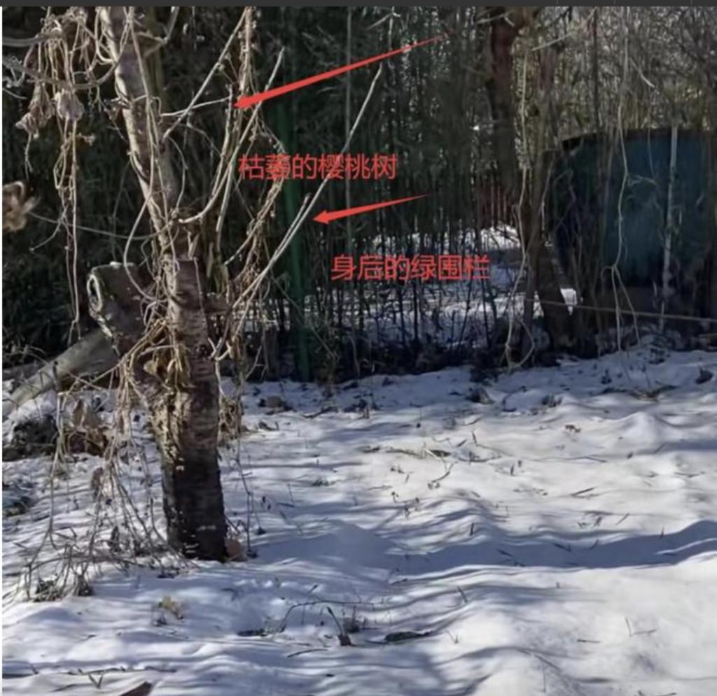 周海媚离世不足1月，家人出售豪宅，看到报价我心情复杂