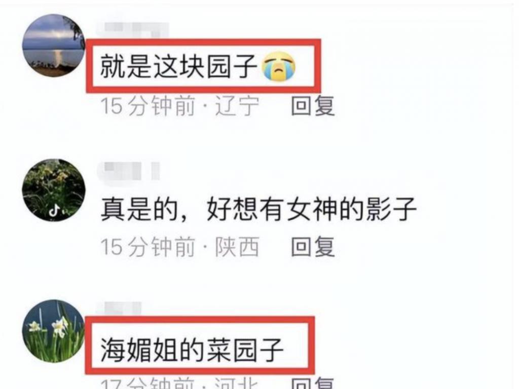 周海媚离世不足1月，家人出售豪宅，看到报价我心情复杂