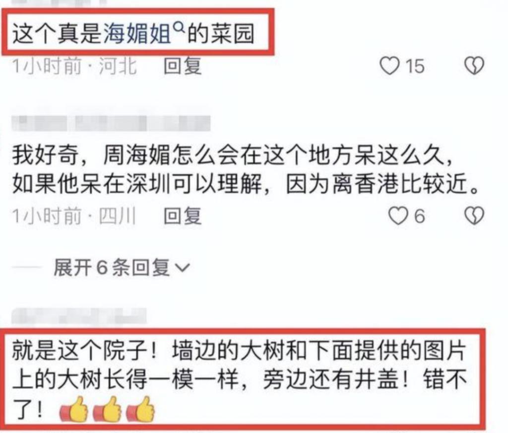 周海媚离世不足1月，家人出售豪宅，看到报价我心情复杂