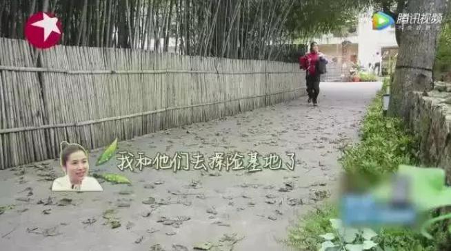 出人意料，他俩复合了？