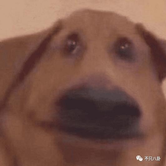 两年换了至少3个女朋友，他可真是一点空窗期都没有啊……