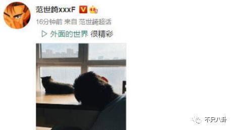 又有新男友了？她也是个恋爱脑？