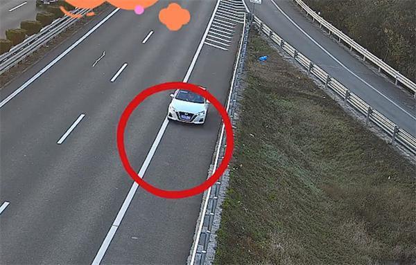 错过出口高速直接掉头逆行 女子：下个路口还要21公里、我很累了