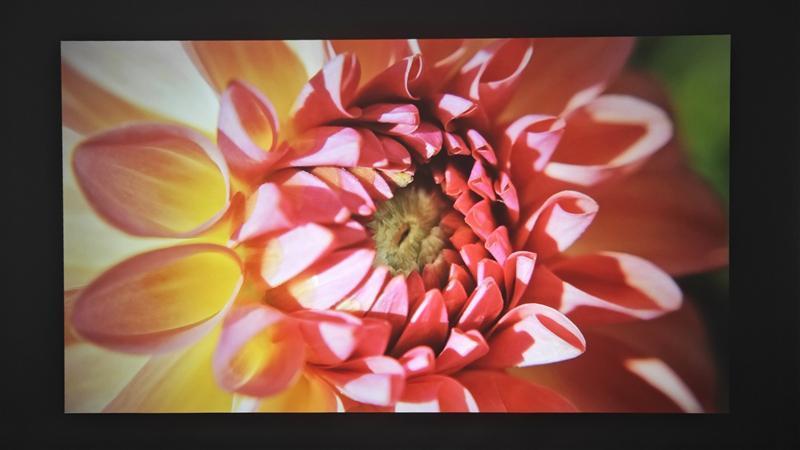 入门级也能流畅看8K 同价位最能打的投影仪！哈趣K2评测