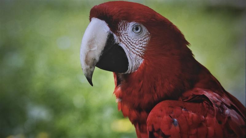 入门级也能流畅看8K 同价位最能打的投影仪！哈趣K2评测