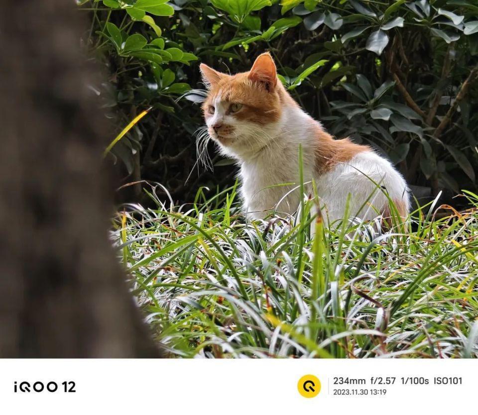 999的旗舰配置！中端机市场要变天了…