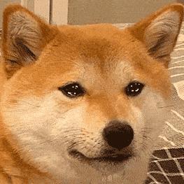 -20 的哈尔滨，火爆全网！
