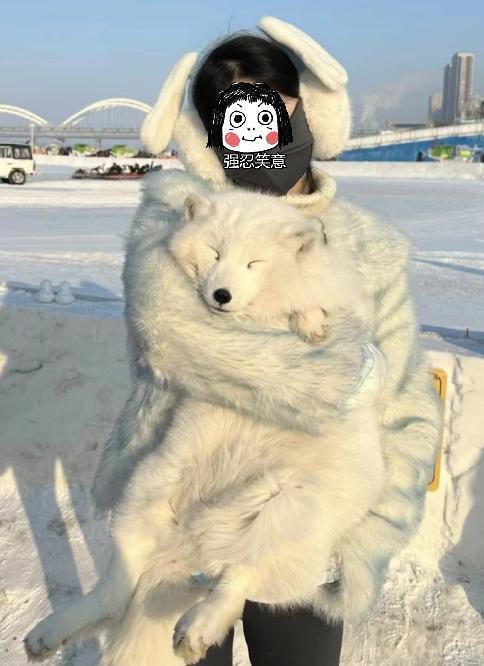 -20 的哈尔滨，火爆全网！
