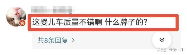 向佐一家四口逛迪士尼，郭碧婷坐儿童推车太搞笑