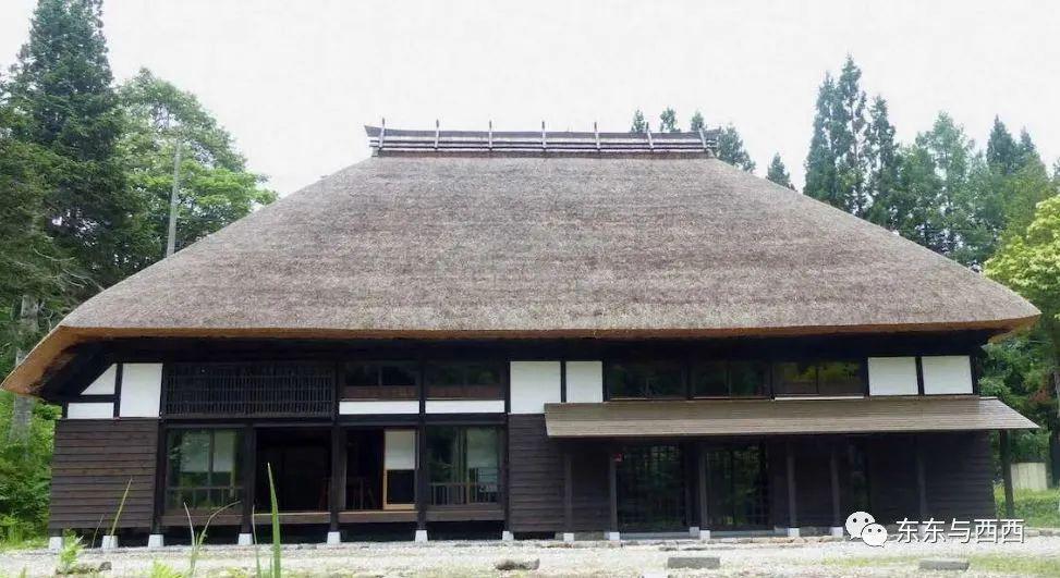 世界美少女要和出轨丑男结婚，这是要换一个火坑跳下去？