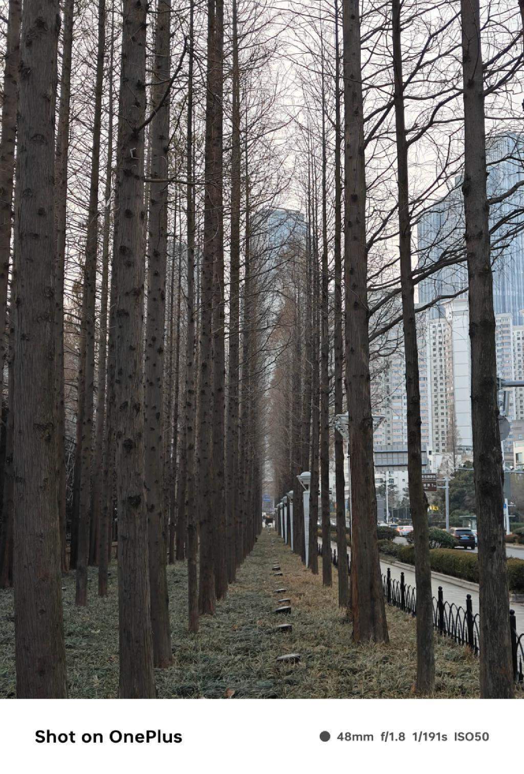 同价位难以拒绝的性能机选择？一加 Ace3 评测