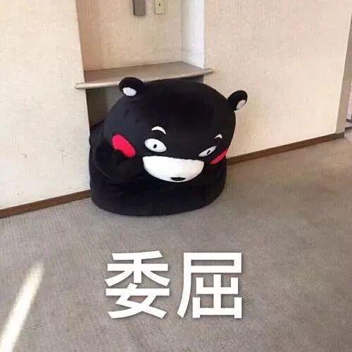 全网爆火的情侣，终究还是be了……