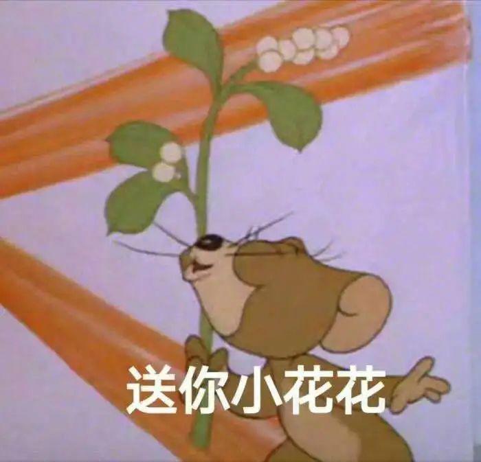 全网爆火的情侣，终究还是be了……