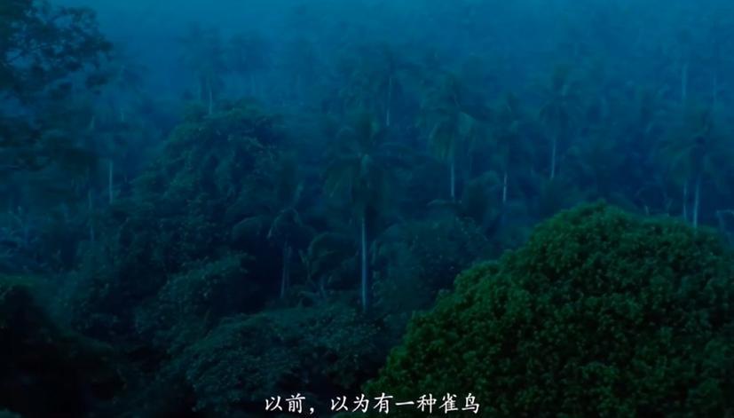 郭敬明不可能拍得出《繁花》