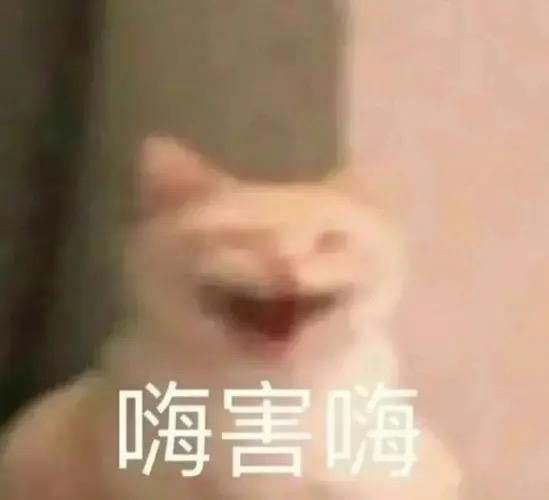 2599元，刚刚发布的这顶配手机，绝对是来捣乱的