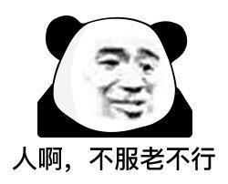 2599元，刚刚发布的这顶配手机，绝对是来捣乱的
