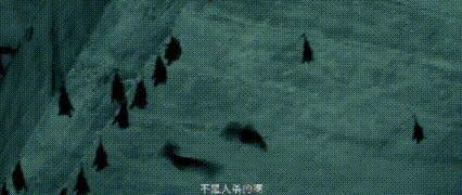 爆冷！但这部国产悬疑片我推了