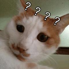 平板过时了，现在都在用 “ 闺蜜机 ”