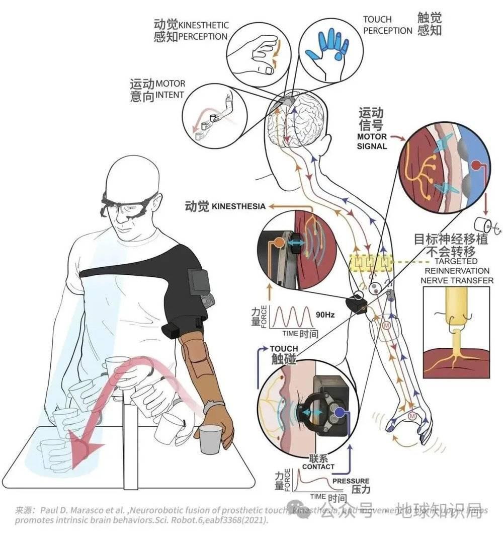 美国最新技术来了，专搞人的脑子