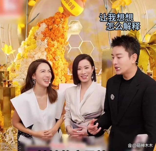 贾乃亮带货捞金，李小璐营销好妈妈人设，甜馨硬刚恶评