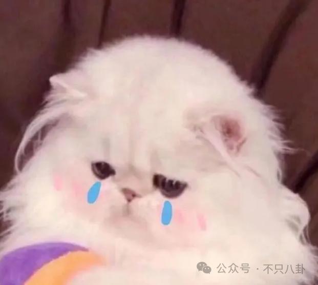 甜馨为李小璐怒怼网友！对小孩子说这样的话也太歹毒了……