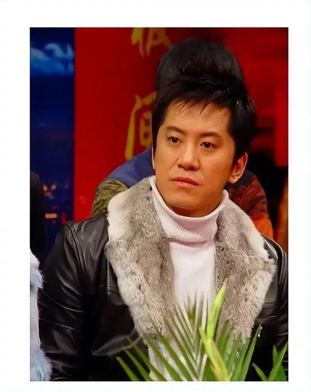 54岁毛宁整容失败？眼凸嘴歪尖下巴，至今无妻无子忙商演