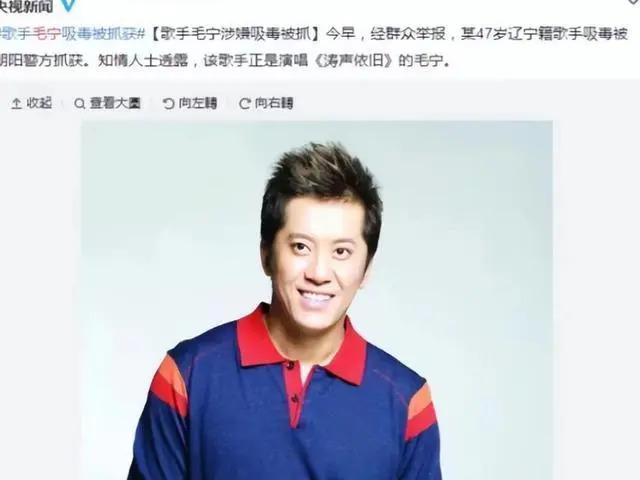 54岁毛宁整容失败？眼凸嘴歪尖下巴，至今无妻无子忙商演