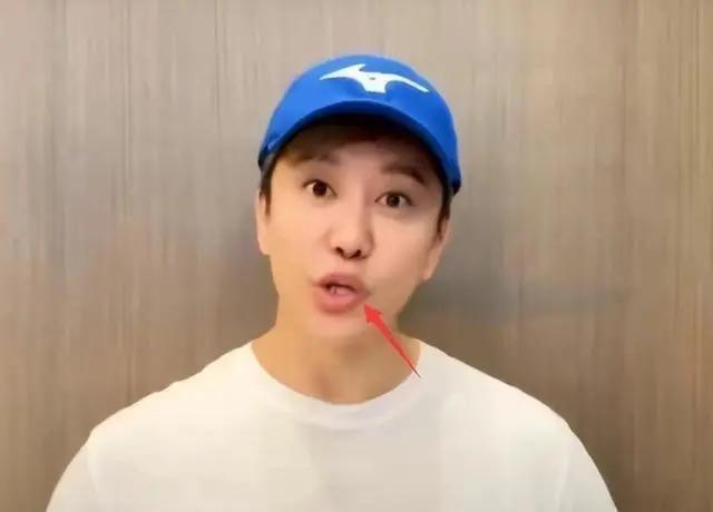 54岁毛宁整容失败？眼凸嘴歪尖下巴，至今无妻无子忙商演