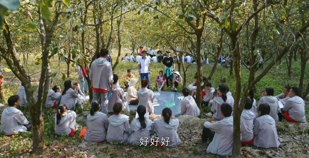 张若昀的烂剧，气得我乳腺增生