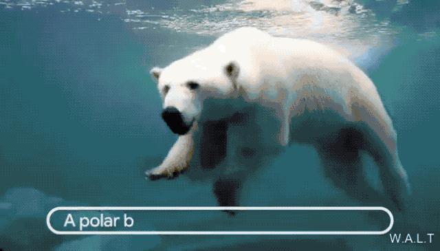 因为它，马斯克和兵马俑跳起了《科目三》