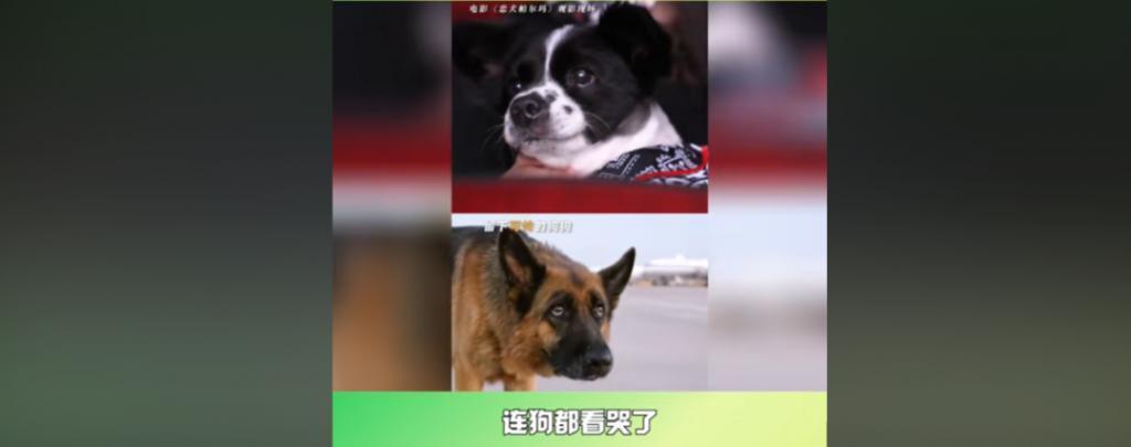 这事翻车的不只虞书欣