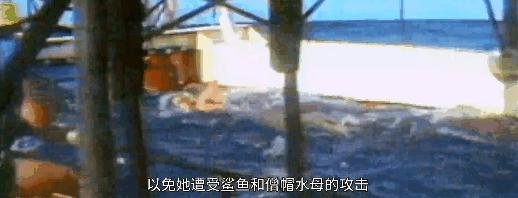 顶级女神「下海」，太猛了！