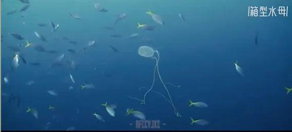 顶级女神「下海」，太猛了！